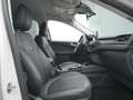 Ford Kuga Vignale PHEV 225PS Aut./Techno-Paket/AHK Weiß - thumbnail 50