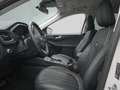 Ford Kuga Vignale 225PS PHEV Aut./Techno-Paket/AHK Weiß - thumbnail 9