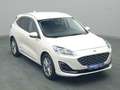 Ford Kuga Vignale PHEV 225PS Aut./Techno-Paket/AHK Weiß - thumbnail 25