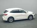 Ford Kuga Vignale PHEV 225PS Aut./Techno-Paket/AHK Weiß - thumbnail 46