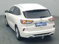 Ford Kuga Vignale 225PS PHEV Aut./Techno-Paket/AHK Weiß - thumbnail 43