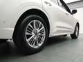 Ford Kuga Vignale 225PS PHEV Aut./Techno-Paket/AHK Weiß - thumbnail 35