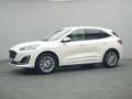 Ford Kuga Vignale 225PS PHEV Aut./Techno-Paket/AHK Weiß - thumbnail 27