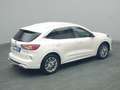 Ford Kuga Vignale 225PS PHEV Aut./Techno-Paket/AHK Weiß - thumbnail 22