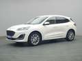 Ford Kuga Vignale 225PS PHEV Aut./Techno-Paket/AHK Weiß - thumbnail 15