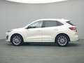 Ford Kuga Vignale PHEV 225PS Aut./Techno-Paket/AHK Weiß - thumbnail 3