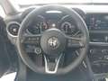 Alfa Romeo Stelvio 2.2 Turbodiesel 190 CV AT8 Q4 Business Blauw - thumbnail 12