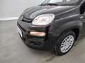 Fiat Panda 1.0i MHEV City Life CLIM / PDC AR Zwart - thumbnail 15