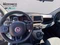 Fiat Pandina 1.0 firefly hybrid s&s 70cv CROSS - NEOPAT Білий - thumbnail 6