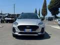 Ford Fiesta 1.0 Ecoboost Hybrid 125 CV DCT 5 porte Active Argento - thumbnail 3