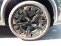 CUPRA Formentor Basis Grau - thumbnail 5