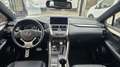 Lexus NX 300h 2.5 F Sport Panoramico Blanco - thumbnail 32