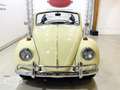 Volkswagen Kever Cabriolet  - ONLINE AUCTION Sarı - thumbnail 3