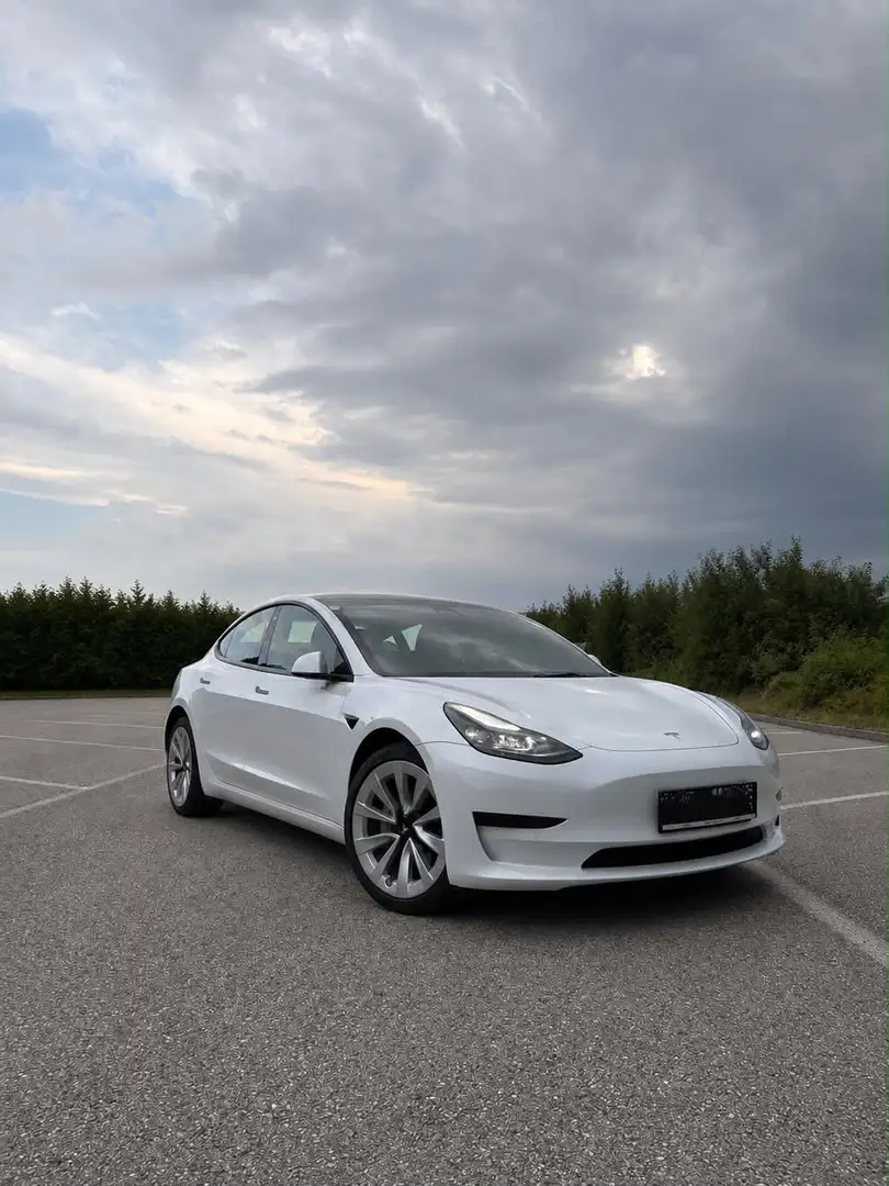 Tesla Model 3 Model 3 Standard Range RWD Plus 57,5kWh RWD Plus/E Weiß - 1