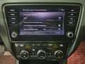 Skoda Octavia * ALLRAD * 1. BESITZ * AHK * KAMERA * VIRTUAL * Grau - thumbnail 26