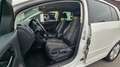 Volkswagen Golf Plus Match 2. Hand VW bei Scheckheft Euro 5 PDC Blanc - thumbnail 9