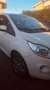 Ford Ka/Ka+ Ka II 3p 2009 Ka 1.3 tdci Titanium 75cv Bianco - thumbnail 2
