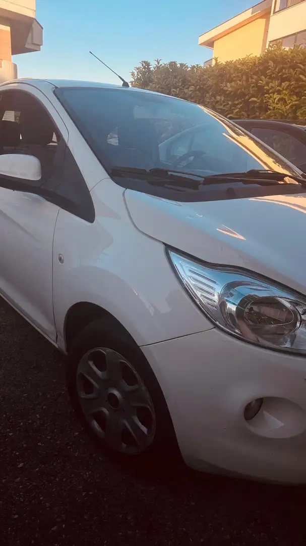 Ford Ka/Ka+ Ka II 3p 2009 Ka 1.3 tdci Titanium 75cv Bianco - 2