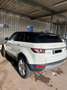 Land Rover Range Rover Evoque Pure Technik 2.2L TD4 Weiß - thumbnail 4