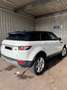 Land Rover Range Rover Evoque Pure Technik 2.2L TD4 Weiß - thumbnail 3