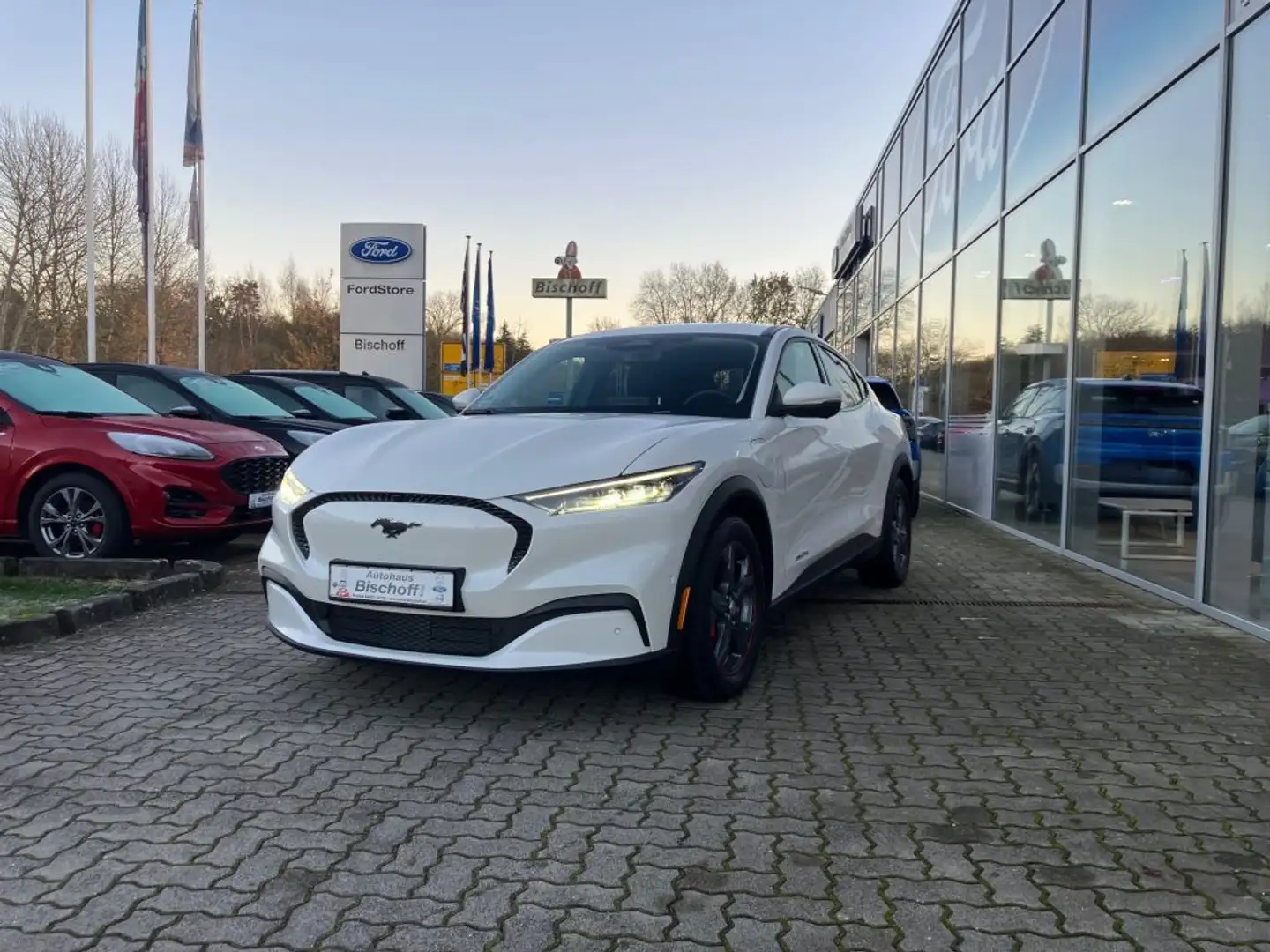 Ford Mustang Mach-E Weiß - 1