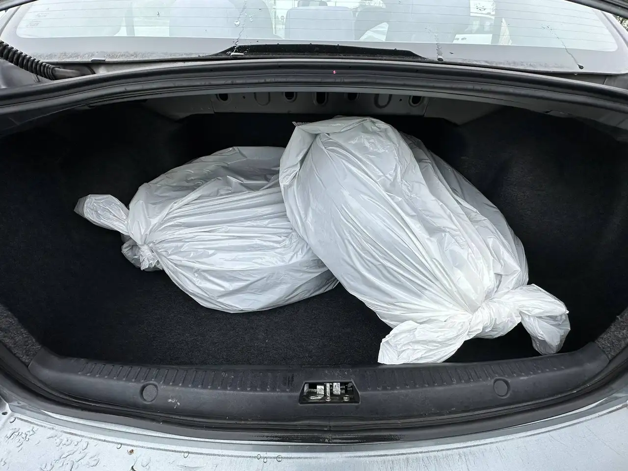 Mitsubishi Lancer снимка Mitsubishi Lancer