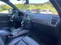Audi SQ5 SQ5 COMPETITION 3.0 tdi biturbo quattro Nero - thumbnail 13