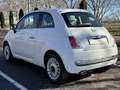 Fiat 500 1.2 by Gucci Wit - thumbnail 4