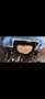 Volkswagen T6.1 Multivan 2.0 TDI 4 Motion Cruise Grau - thumbnail 22