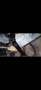 Volkswagen T6.1 Multivan 2.0 TDI 4 Motion Cruise Grau - thumbnail 25
