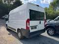 Peugeot Boxer *Klima*Tüv Neu*Sher Guten zu Stand * Blanco - thumbnail 5