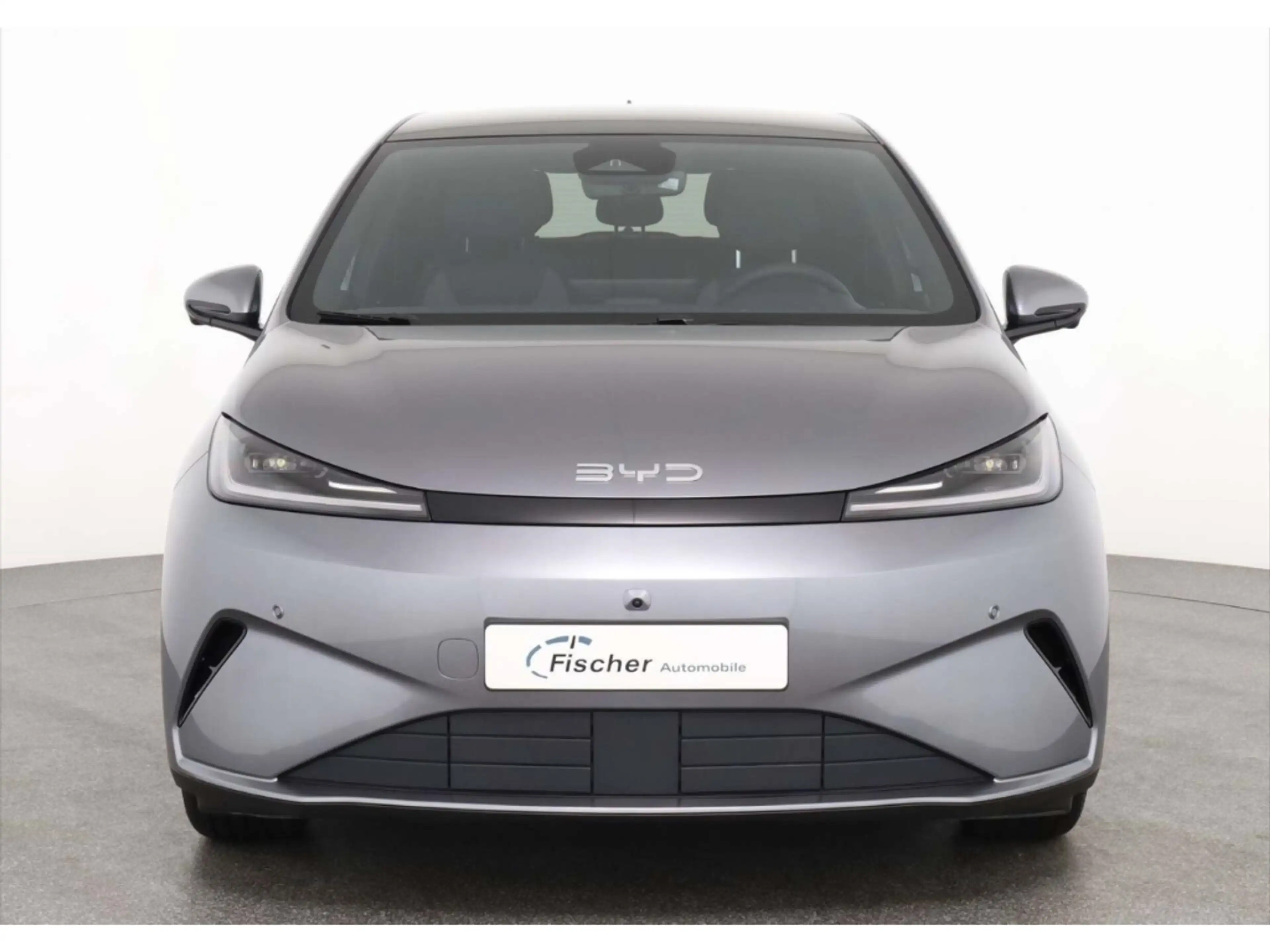 BYD Dolphin G DM-i Comfort — photo 3