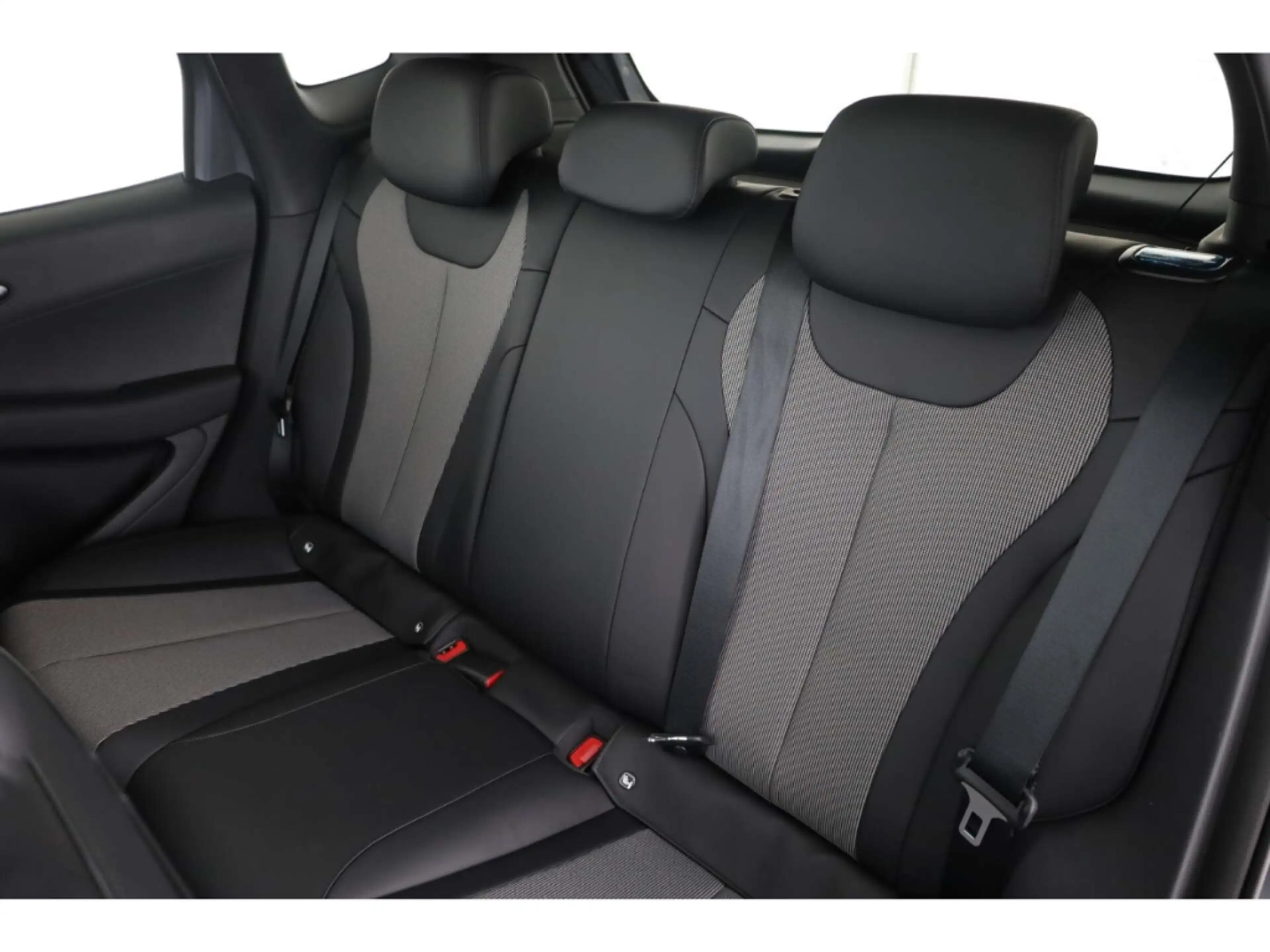BYD Dolphin G DM-i Comfort — photo 12