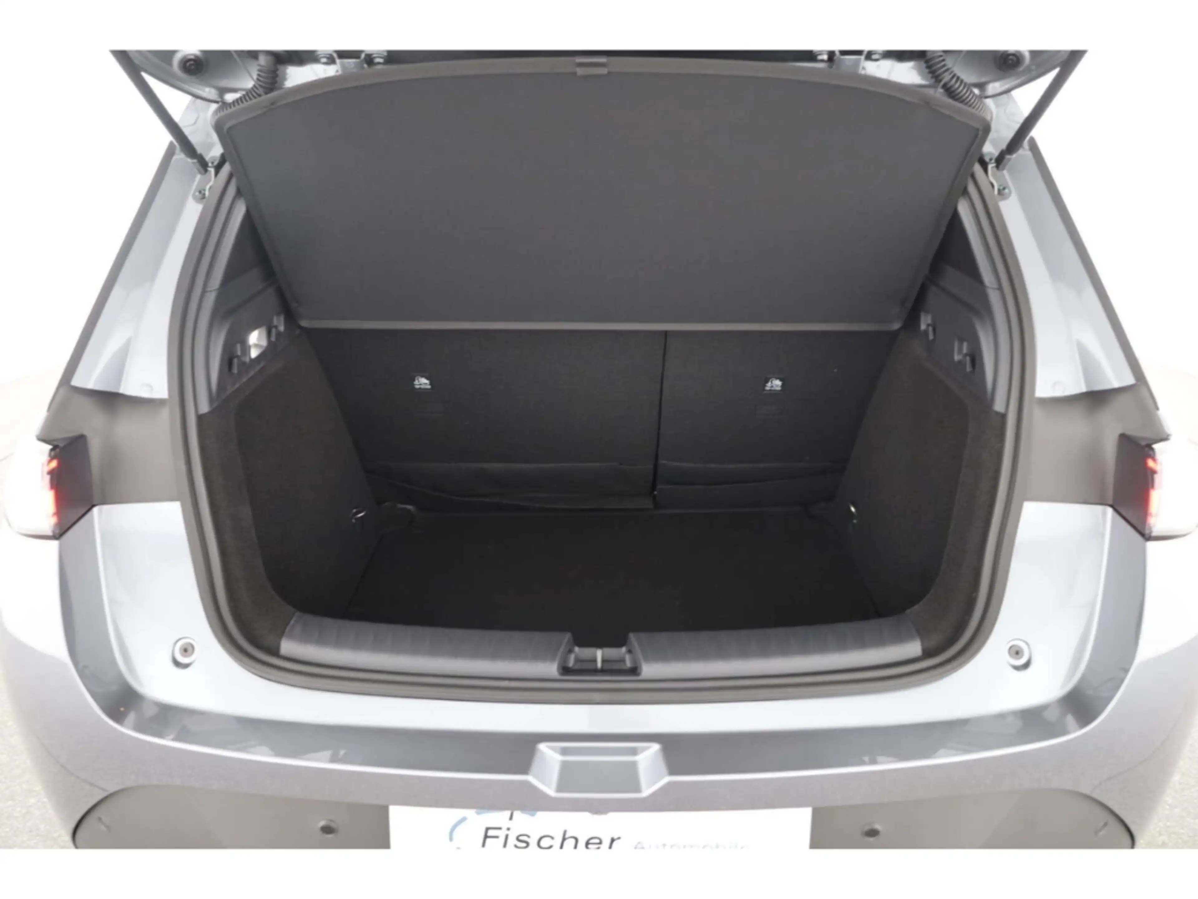 BYD Dolphin G DM-i Comfort — photo 13