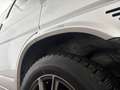 Volkswagen T4 Multivan /2.HD/AUTOMATIK/6-SITZE/KLIMA/ Plateado - thumbnail 9