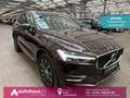 Volvo XC60 T6 AWD Inscription Plug-In|AHK|LED Braun - thumbnail 1
