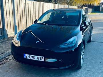 Model Y RWD