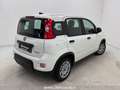 Fiat Panda 1.0 FireFly S&S Hybrid Bianco - thumbnail 2