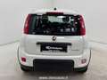 Fiat Panda 1.0 FireFly S&S Hybrid Bianco - thumbnail 7