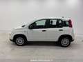 Fiat Panda 1.0 FireFly S&S Hybrid Bianco - thumbnail 8