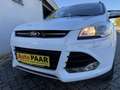 Ford Kuga Kuga 2,0 TDCi Titanium 4x4 Titanium Weiß - thumbnail 15