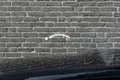 BMW M4 4-serie Coupé Competition Full Options, NL auto, M Zwart - thumbnail 25