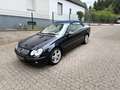 Mercedes-Benz CLK 200 CLK Cabrio CLK 200 Kompressor Blau - thumbnail 11
