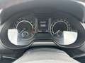 Skoda Octavia RS 2,0 TDI 184PS Pickerl 09/26 mit Parkhilfe Blau - thumbnail 15