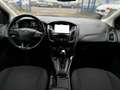 Ford Focus 1.0 ECOBOOST 125CH STOP&START TITANIUM Blanc - thumbnail 11