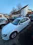 Audi A4 Avant Ambiente quattro*AUTOMATIK*TEMPO*SHZ*EURO6 Weiß - thumbnail 3