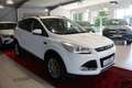 Ford Kuga Titanium *NAVI/PANO/AHK* White - thumbnail 4