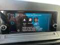 Volkswagen Caddy CADDY Cargo 2.0 TDI 102 Business Schwarz - thumbnail 14