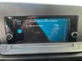 Volkswagen Caddy CADDY Cargo 2.0 TDI 102 Business Schwarz - thumbnail 16