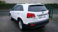 Kia Sorento 2.2 CRDi 4WD Spirit Blanco - thumbnail 6